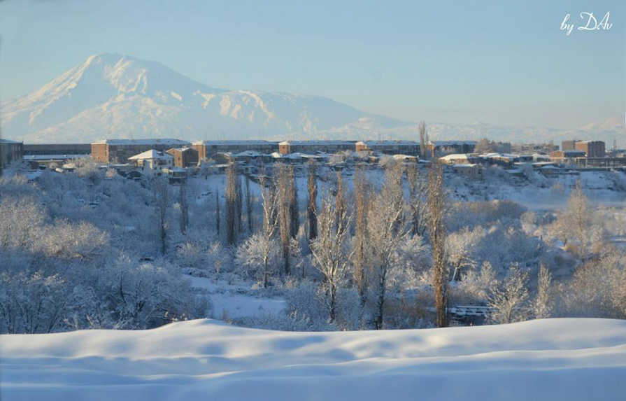 ... - Davit Avetisyan