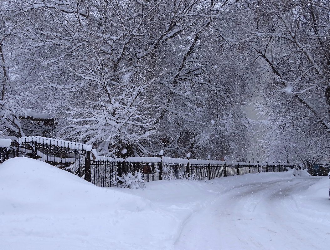 Зимние кружева - Галина Чепиль