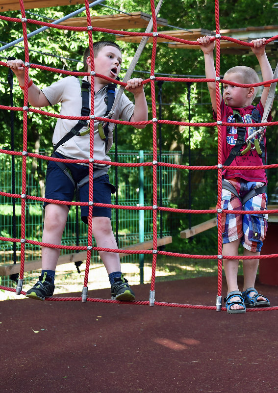 Не боись, Пятачок! - Владимир Владимир