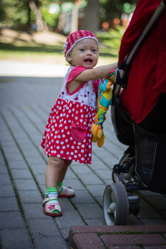 Летняя прогулка - Roman 