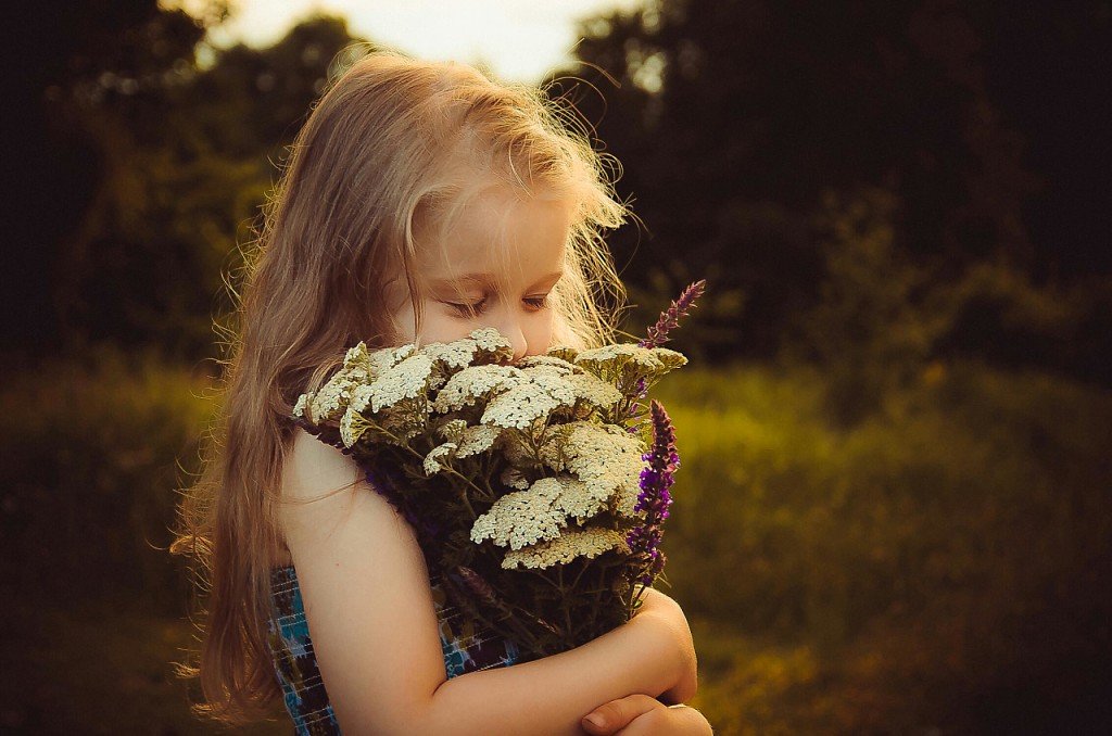 аромат лета - Ирина Барс