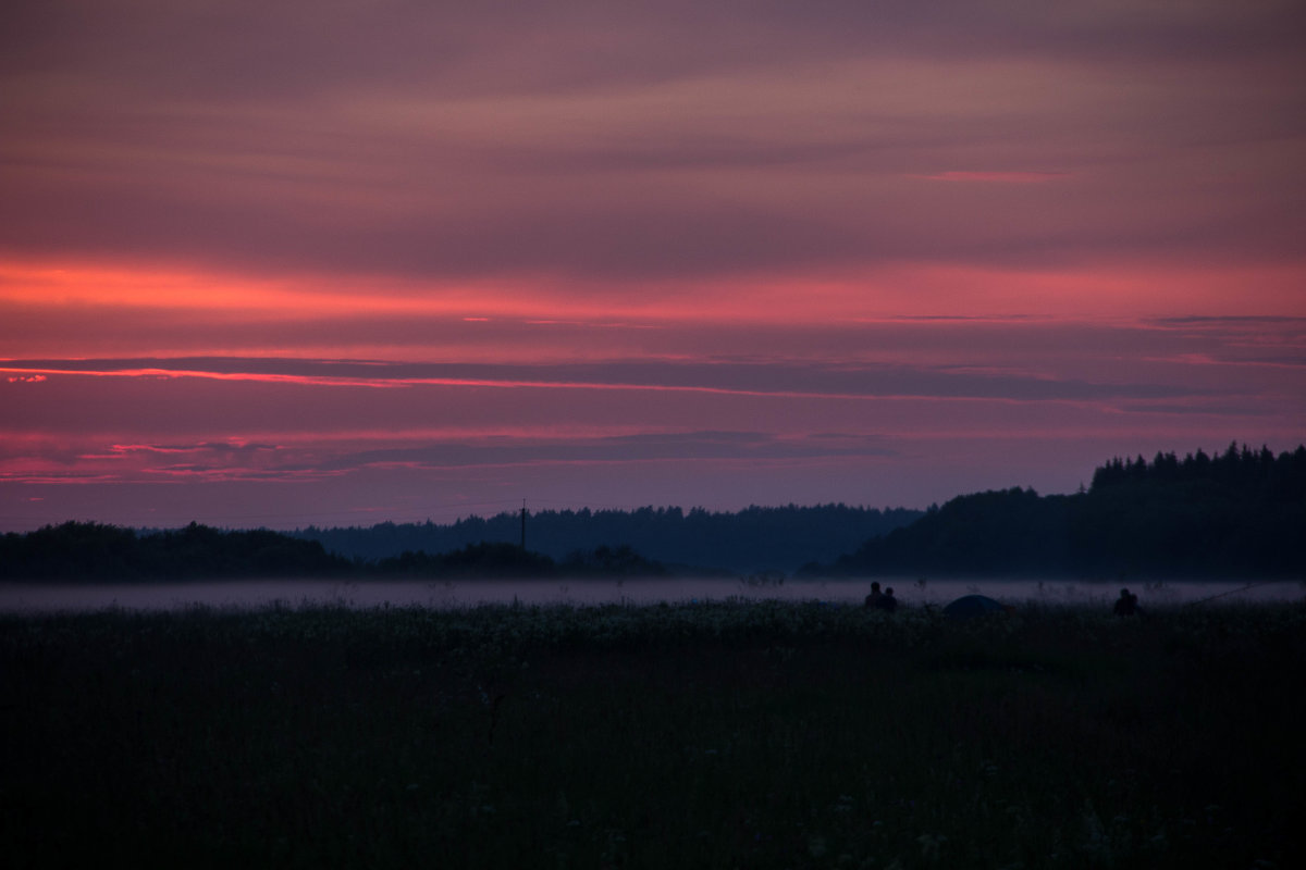 * - Илья Бедов