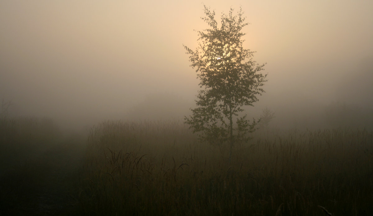 Майские туманы - Дмитрий 