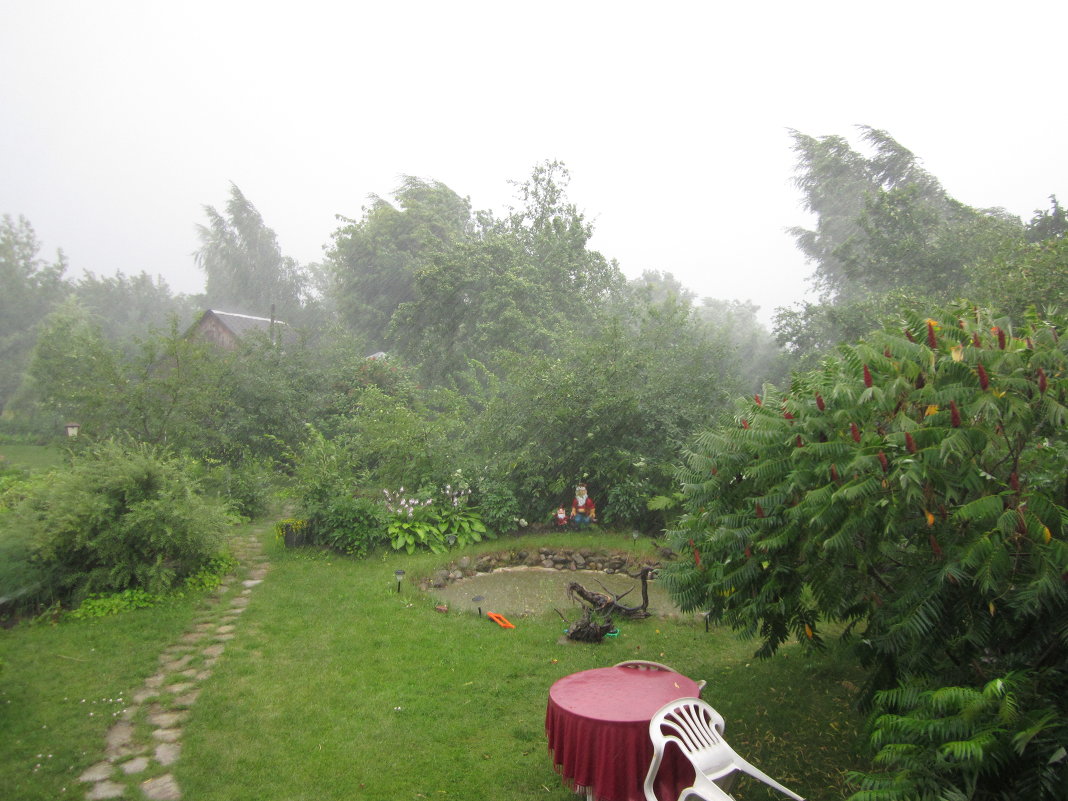 ... - Николай 