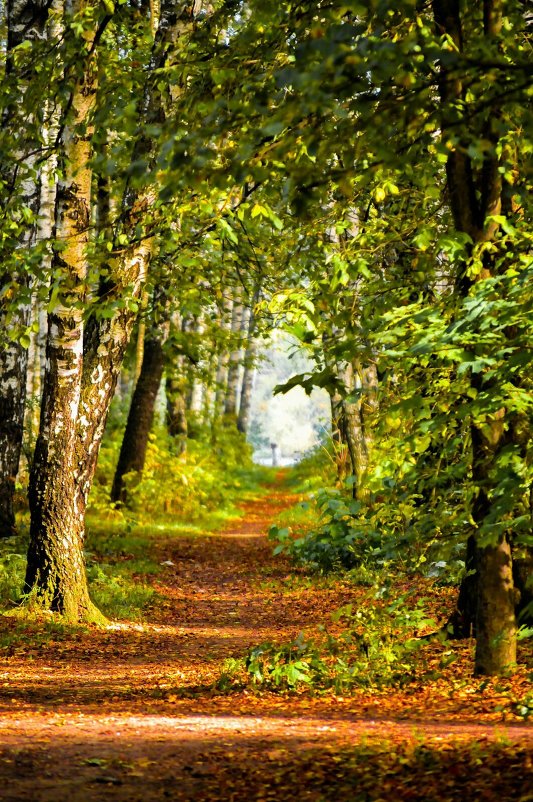 В любое время года, прекрасная погода - Anna Enikeeva