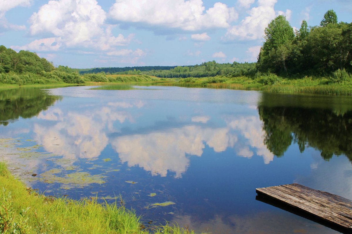 ... - Светлана Павловская
