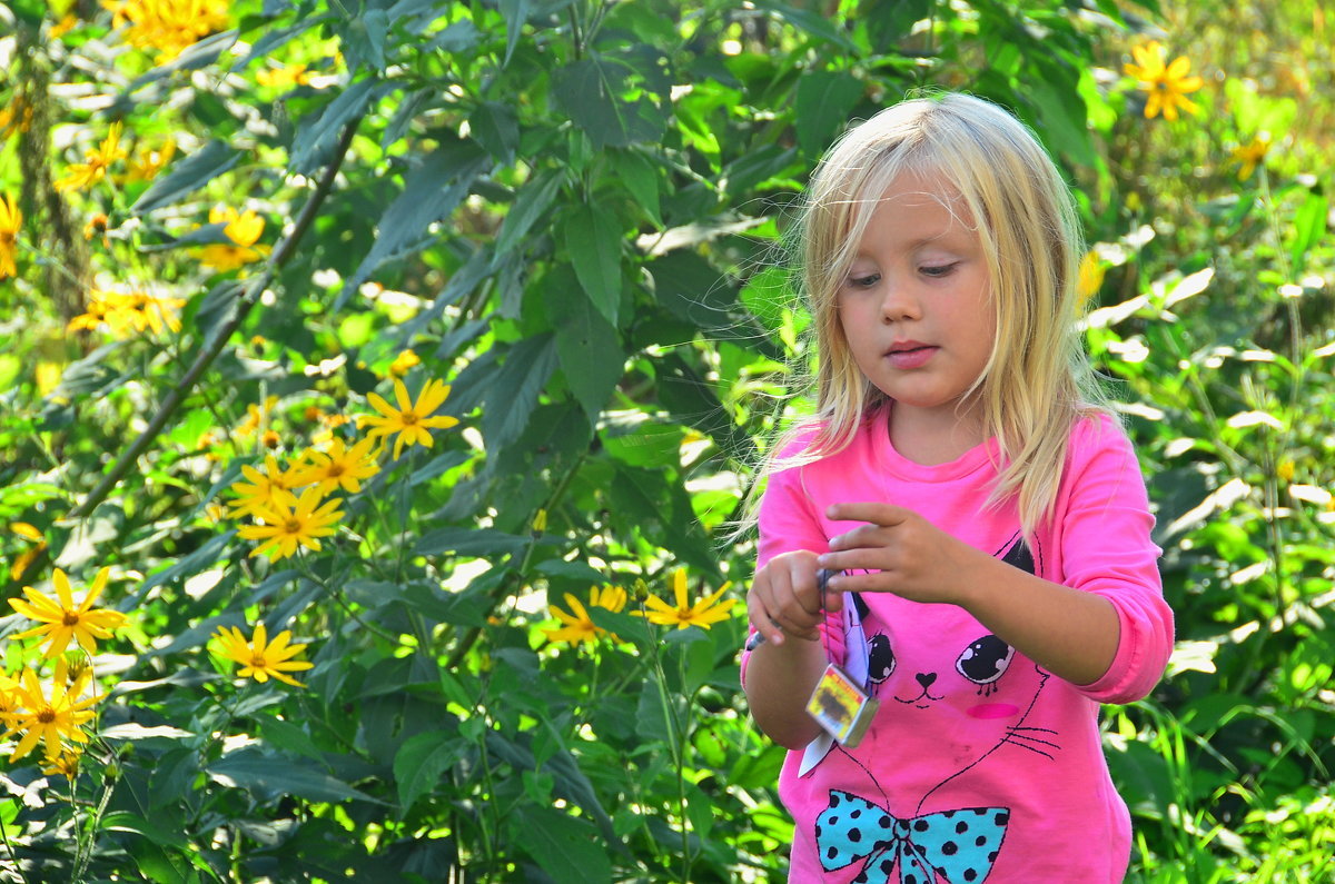 Лето - Николай Танаев