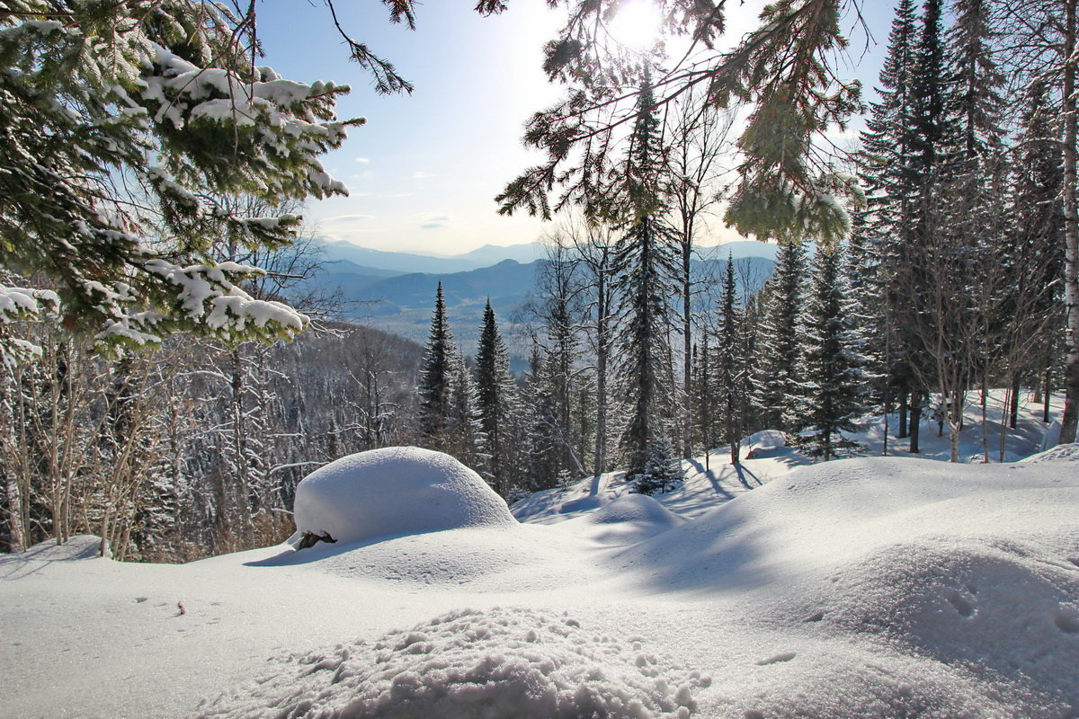 ... - Александр Рождественский