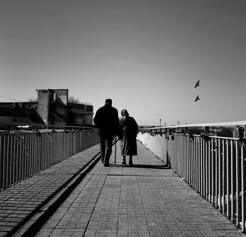 ... - Владимир 