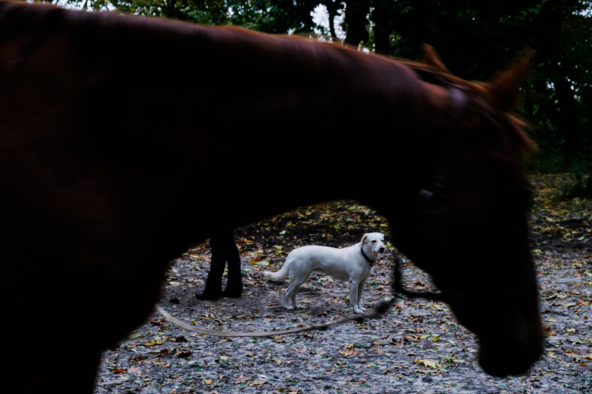 *** - Лиля Ахвердян