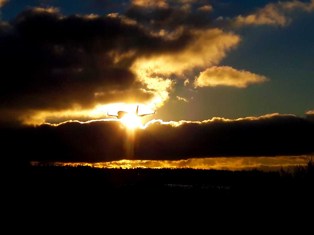 Волшебный закат во Внуково - Анастасия Косякова