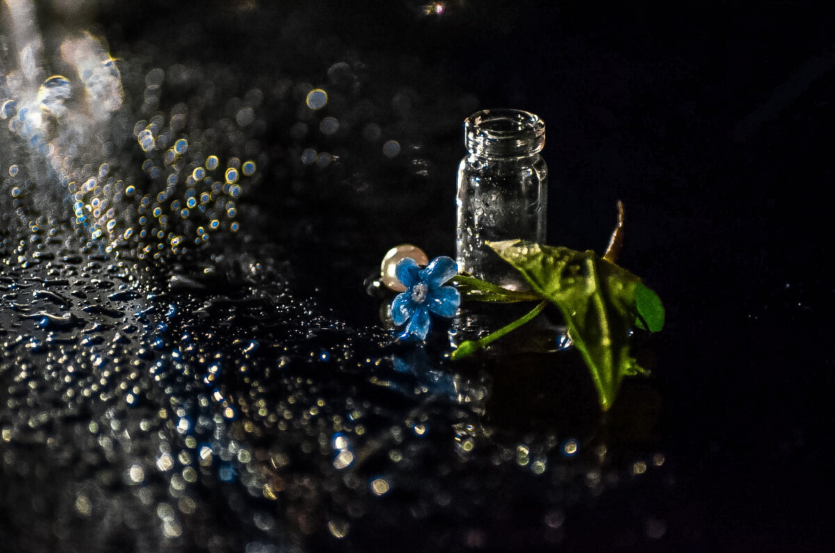 Одинокая Незабудка - Наталья Полатова