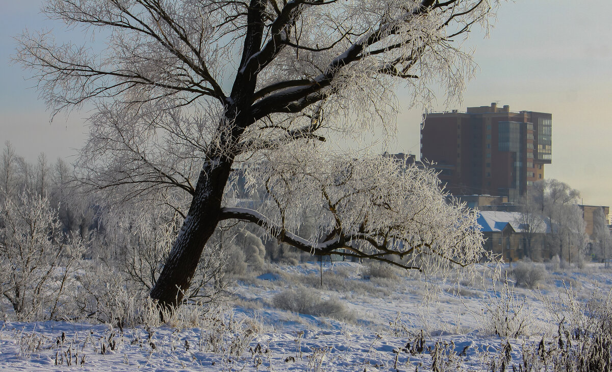 Зимний день - Денис Матвеев