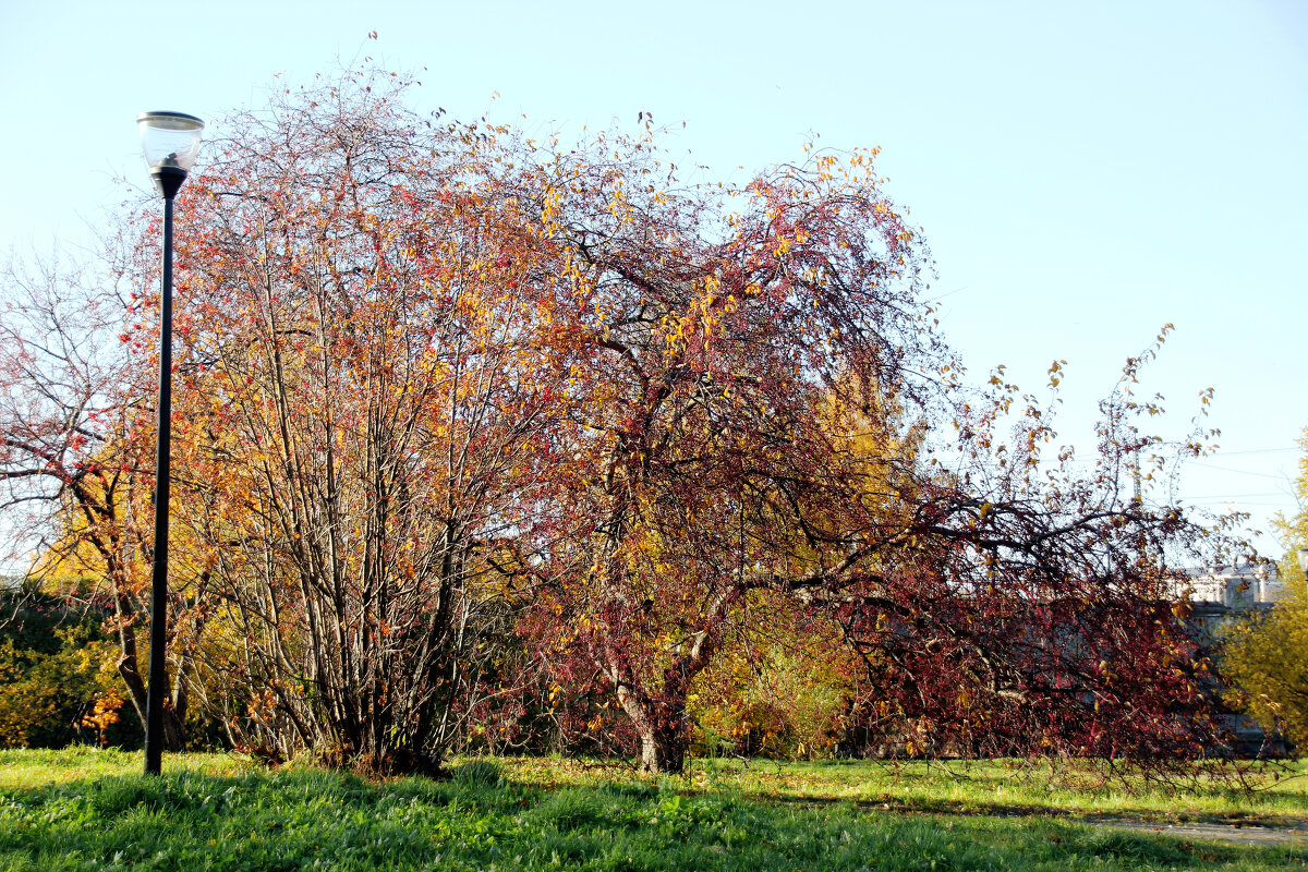 еще октябрь.. - Сергей Тарбеев