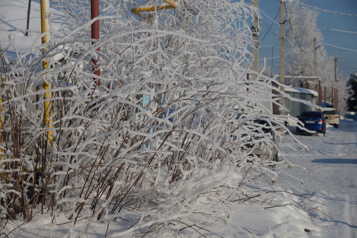 нас посетила красота - Светлана 