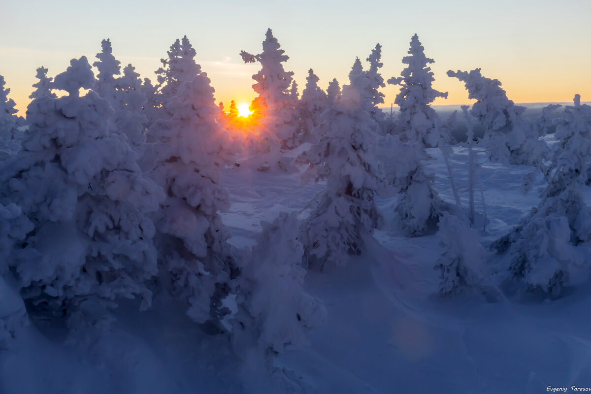 Первые лучи солнца - Евгений Тарасов 