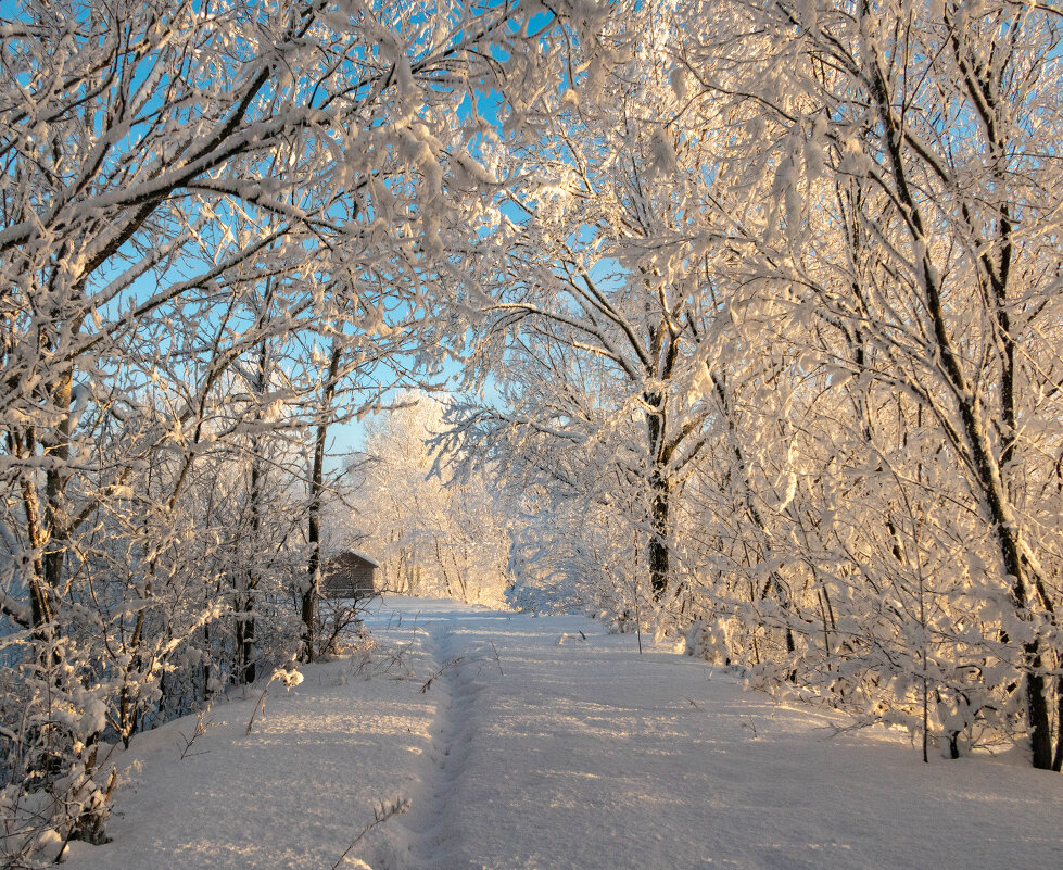 Снежная тропинка - Игорь Иванов