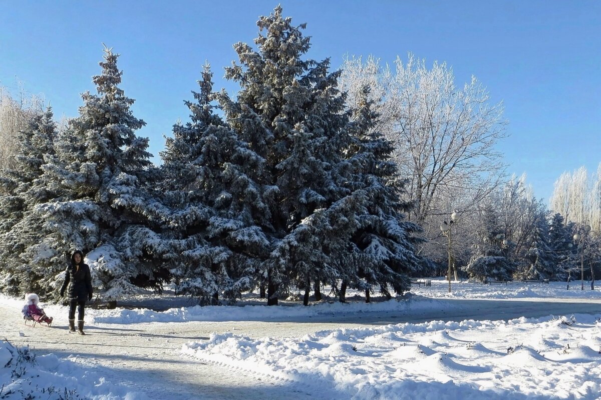 В наш южный город вдруг пришла зима! - Татьяна Смоляниченко