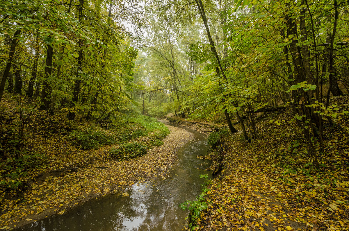Осений ручей. - Игорь Грашин 