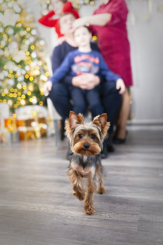 Тофик. - leff Postnov