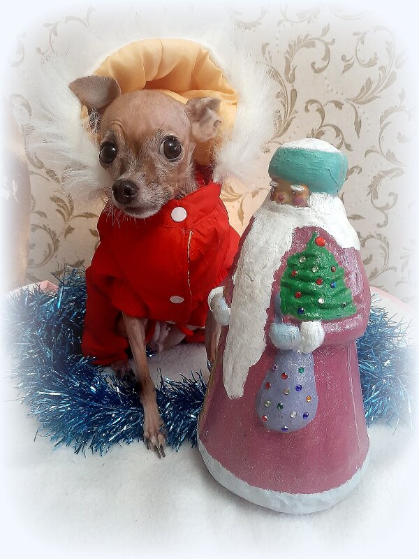 ДЕД МОРОЗ ТО НЕ НАСТОЯЩИЙ ! - nadyasilyuk Вознюк