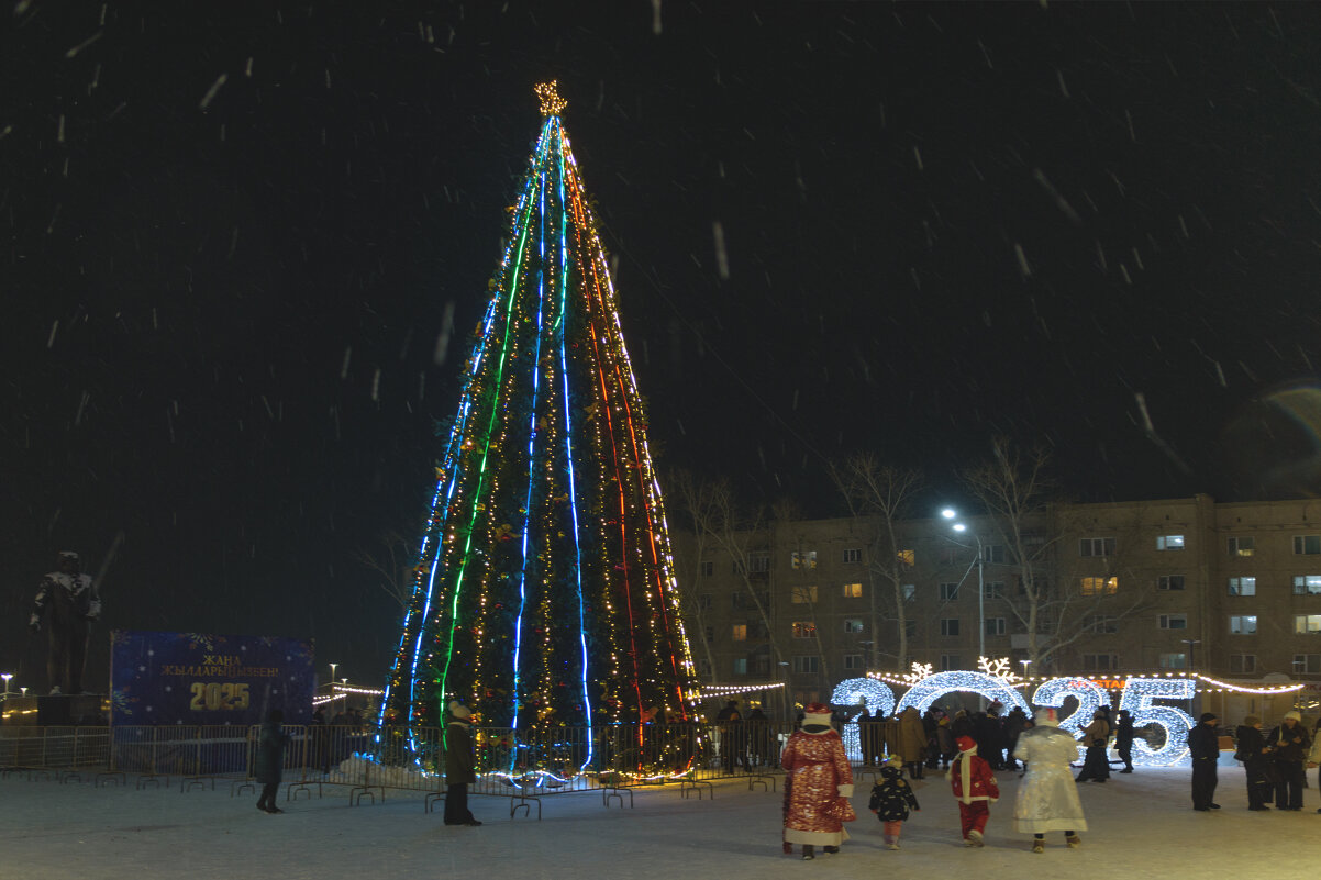 Новый год. - Светлана Артюшина