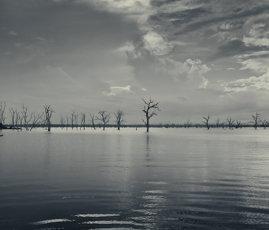 После цунами - Григорий Иванов