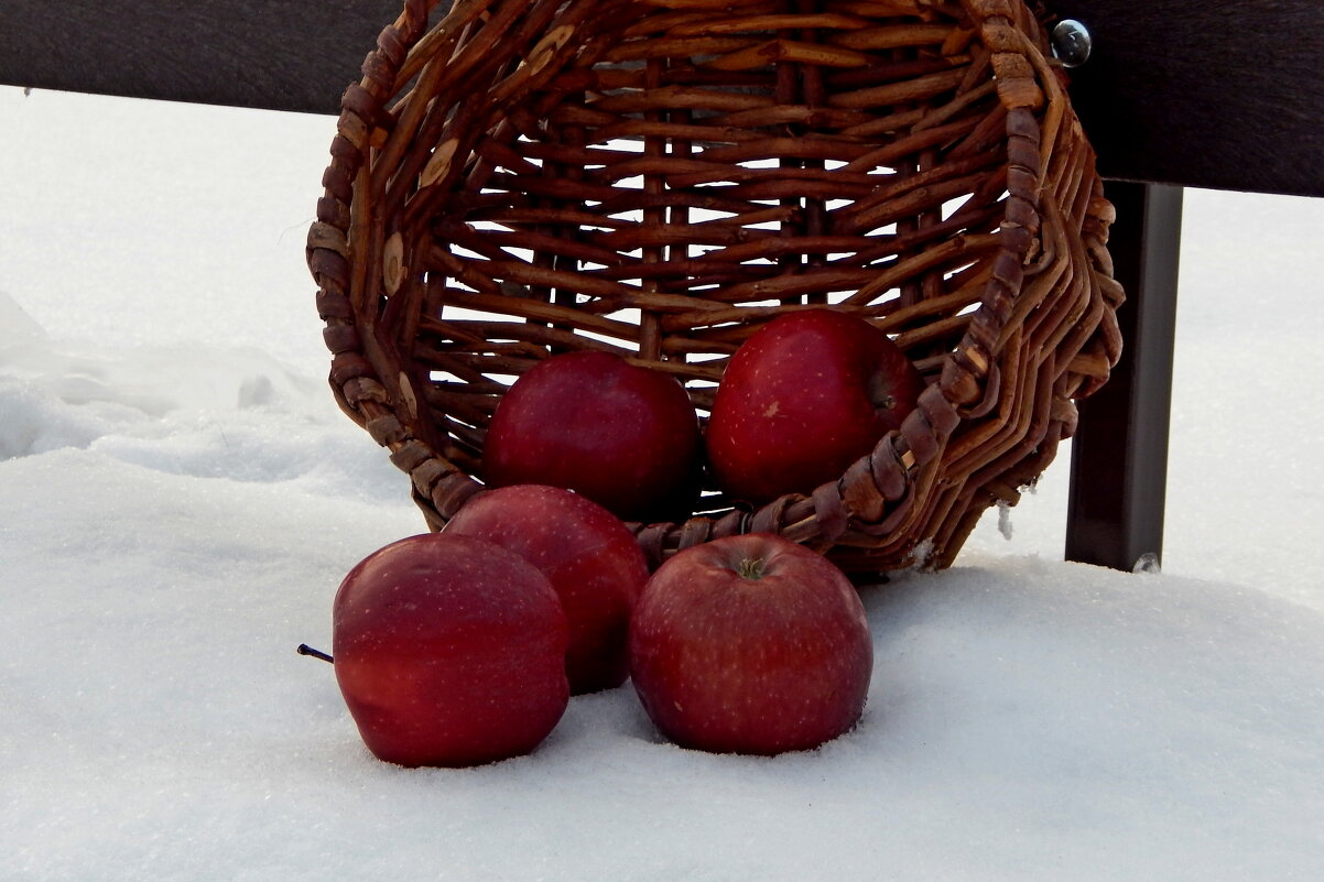 Яблоки на снегу - Дмитрий Борисов-Симагин