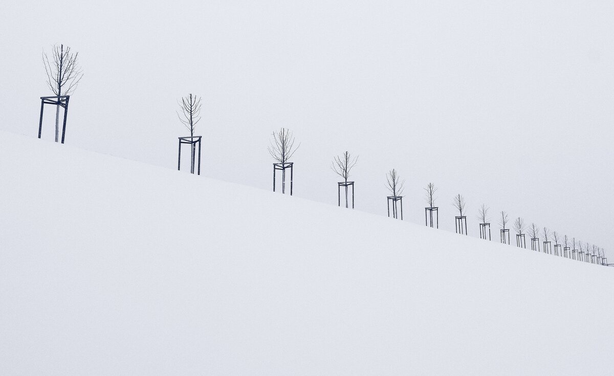 *** - Сергей Григорьев