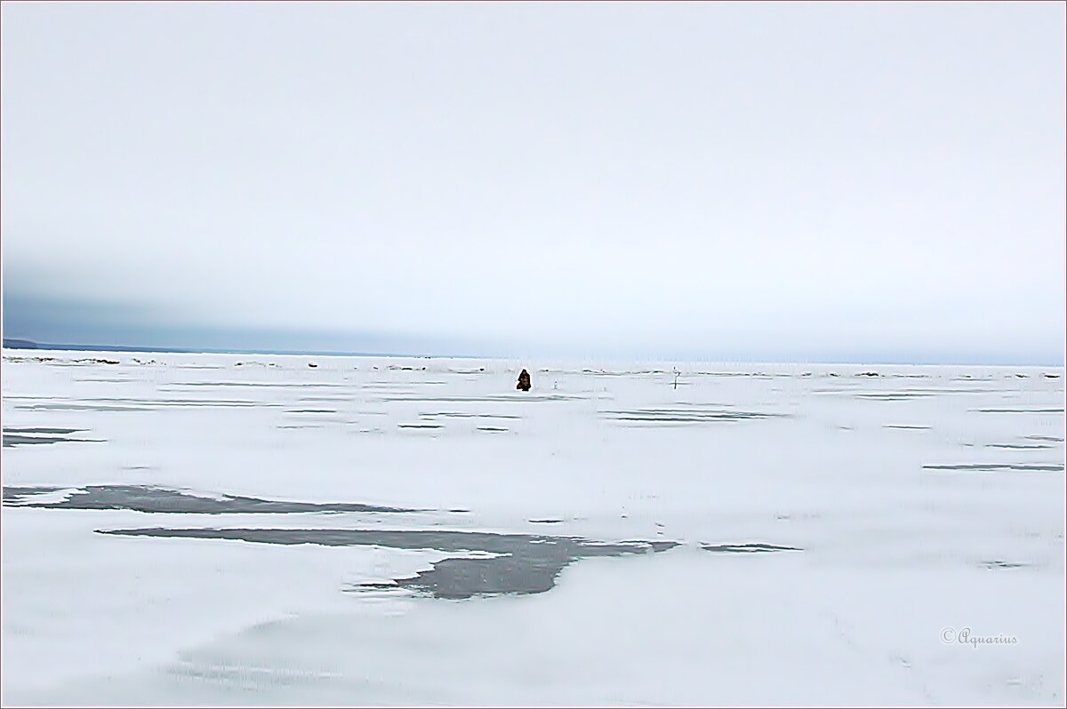 Когда никто не стоит над душой... - Aquarius - Сергей Когда никто не стоит над душой... - Aquarius - Сергей
