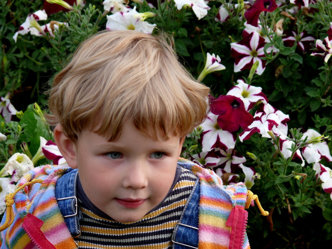 в цветах - Valentin Orlov