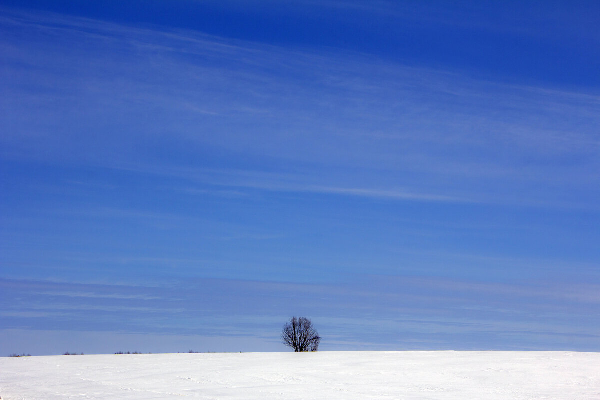 Один в поле не воин... - Анастасия Северюхина