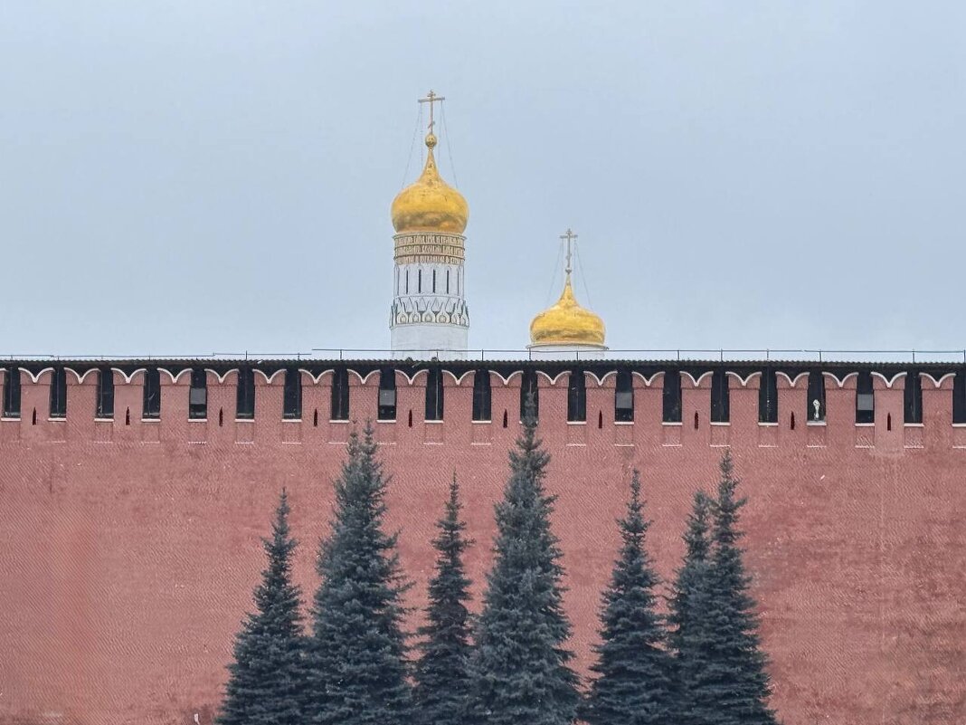 Золотоглавая - Ирина Картина