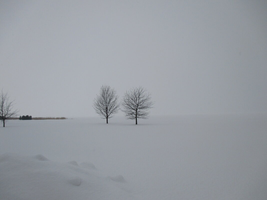 У Финского залива - Маера Урусова