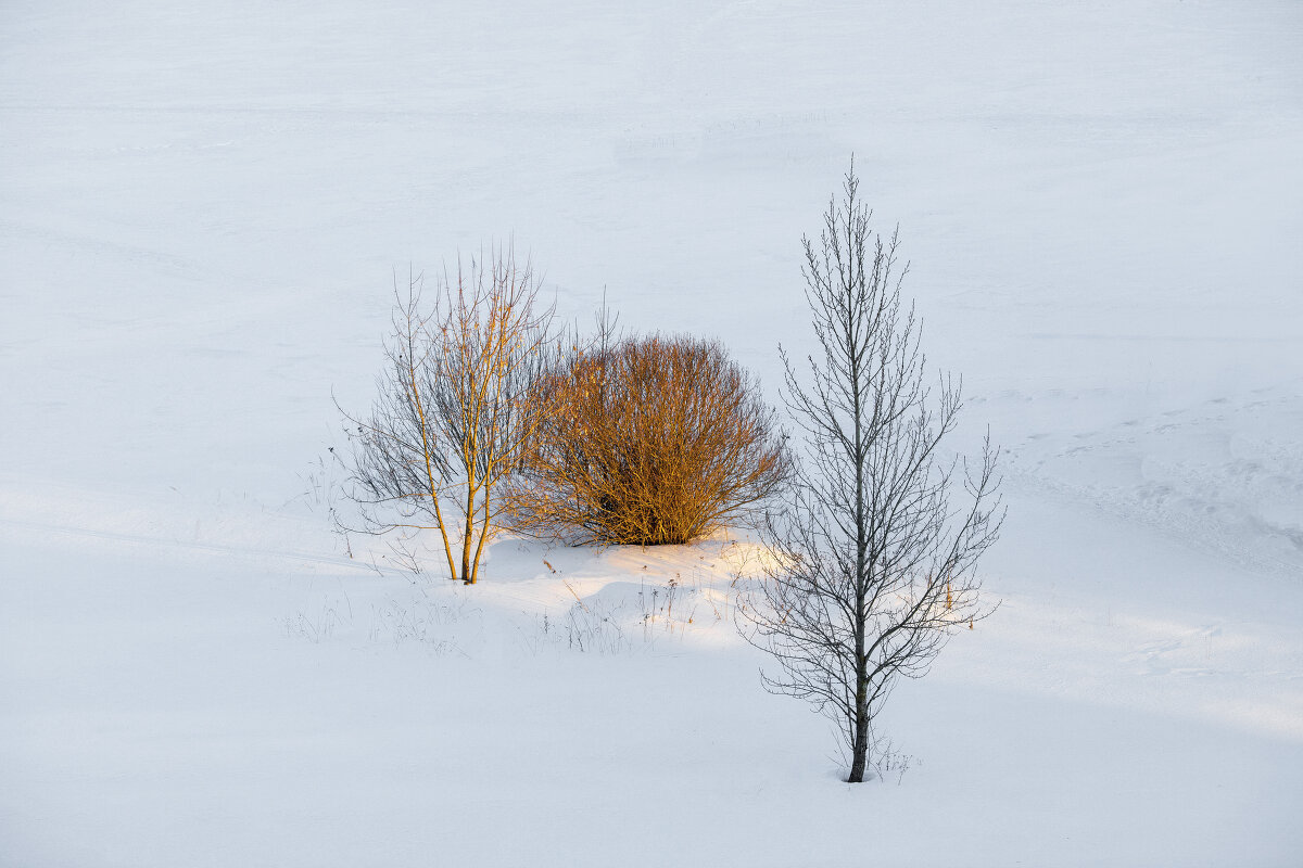... - Любовь Перевозникова