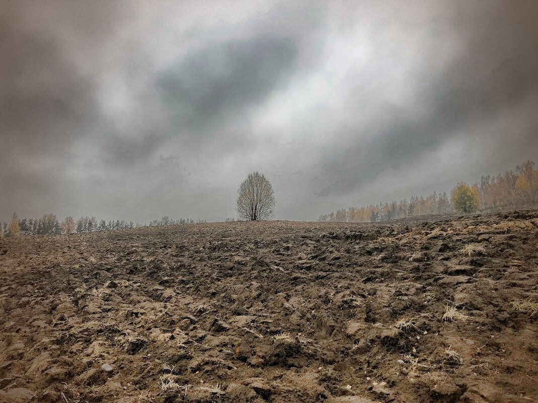 Один в поле не воин... - Станислав Мутовин