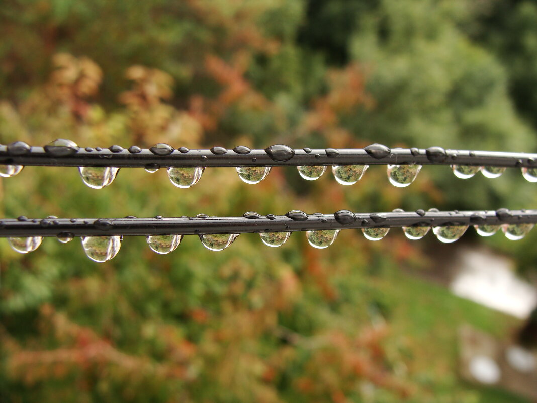 Осень - Сергей 