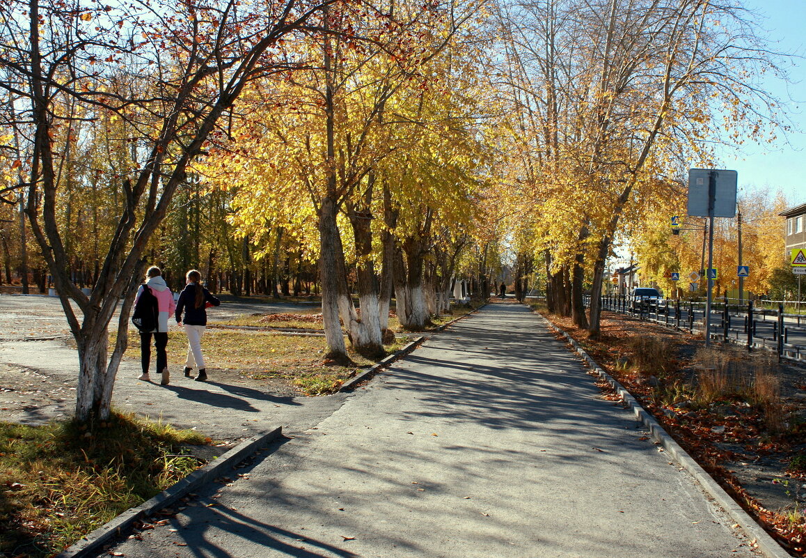 Тени золотой осени... - Нэля Лысенко