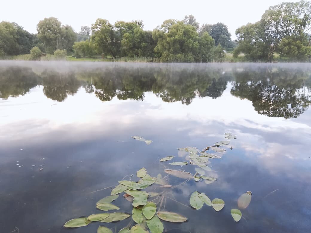 Природа - Виктория Тукмакова