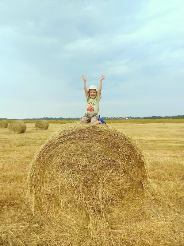 Сенокос - Сергей П.