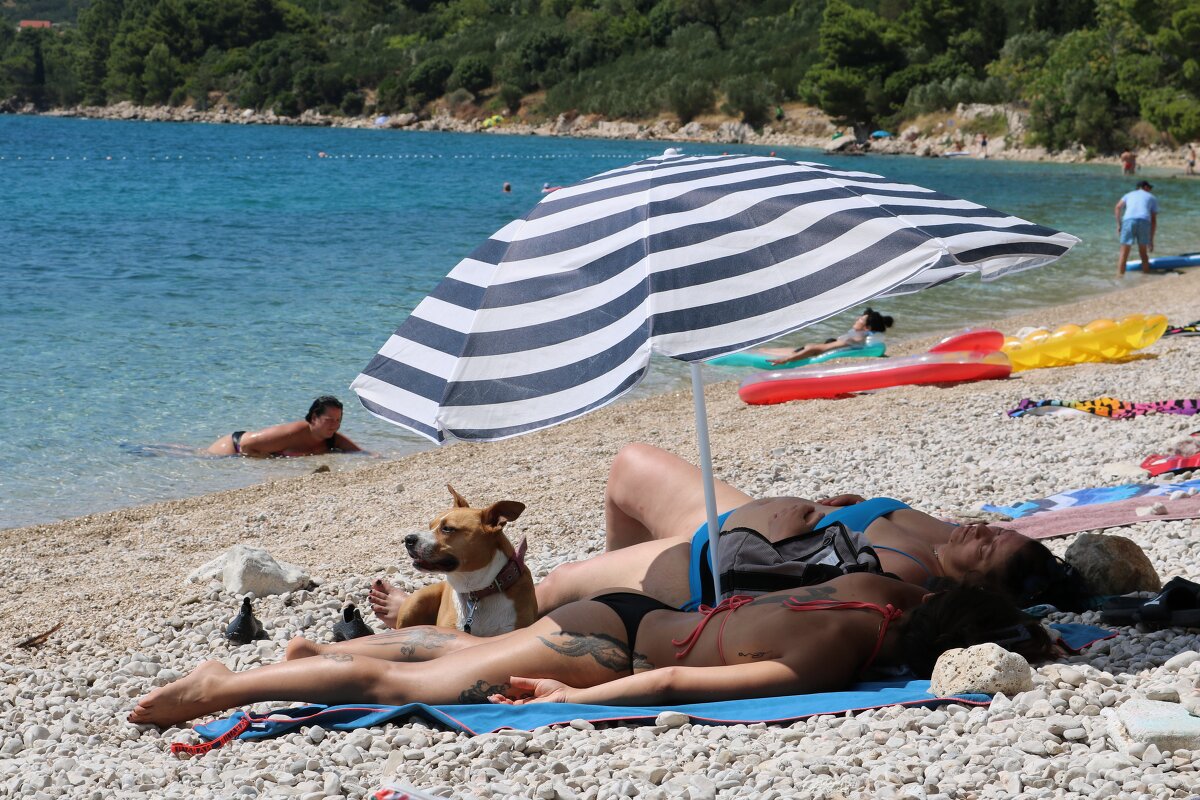 жаркий день - Светлана Баталий