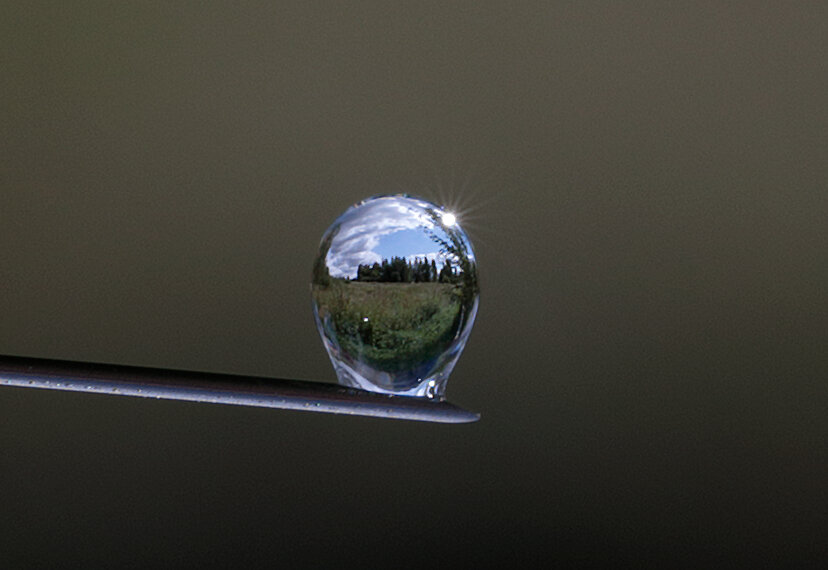 Природа в капелке воды - Oleg S