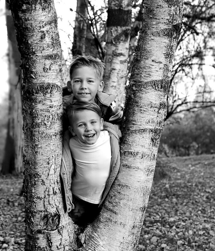 Братья - Александр Кордюков