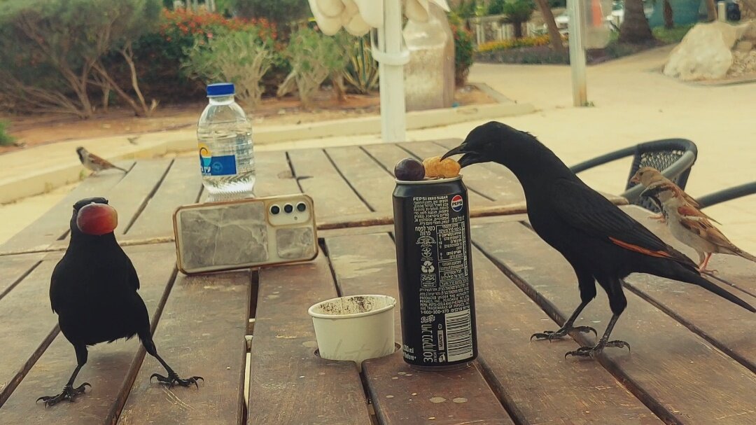 ЭМО Д ЖИ (3) - СТРЕН 