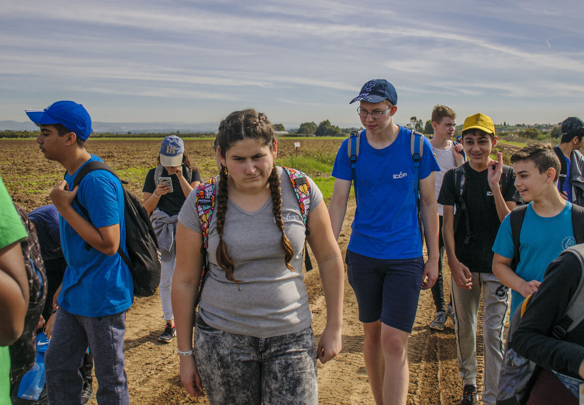 так себе прогулочка... - Осень 
