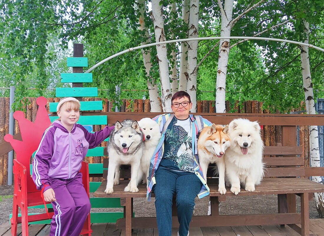 Безграничный мир животных :: ольга хакимова