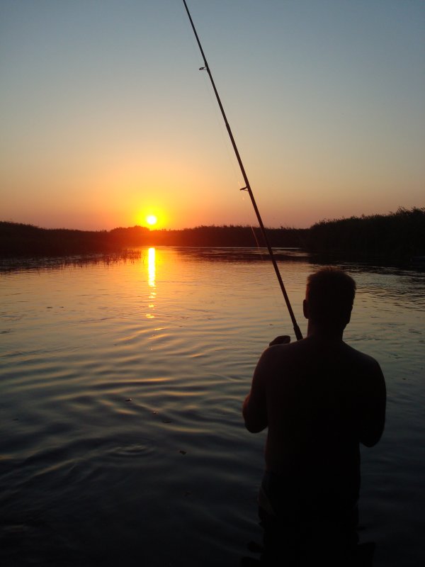 Не рыбой единой... - Алексей Пасенко