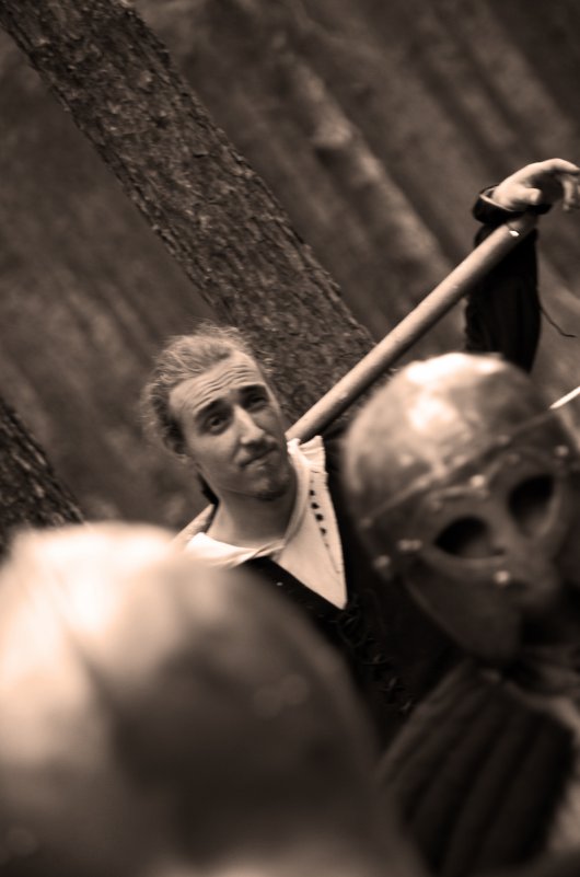 Историческая реконструкция - Леонид Ефремов