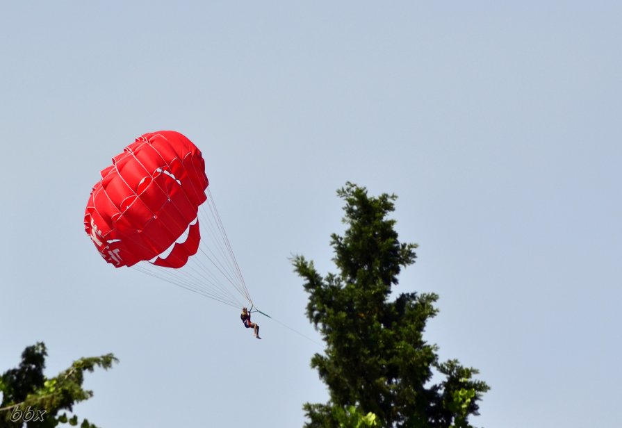 Чем бы мужик ни тешился... - Василий Хорошев