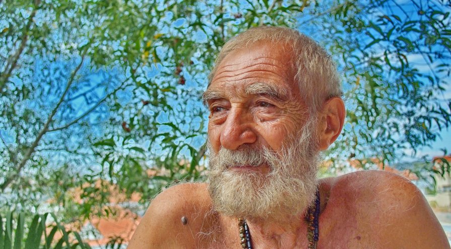 Лазарь на балконе - Елена Левковская